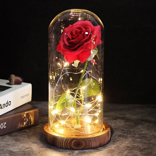 Viral Forever Rose - Beauty and The Beast Gift